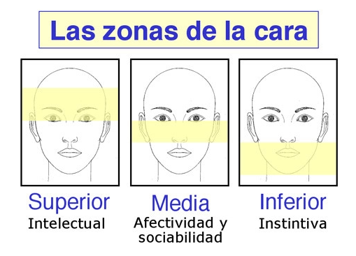 gallery/las zonas de la cara